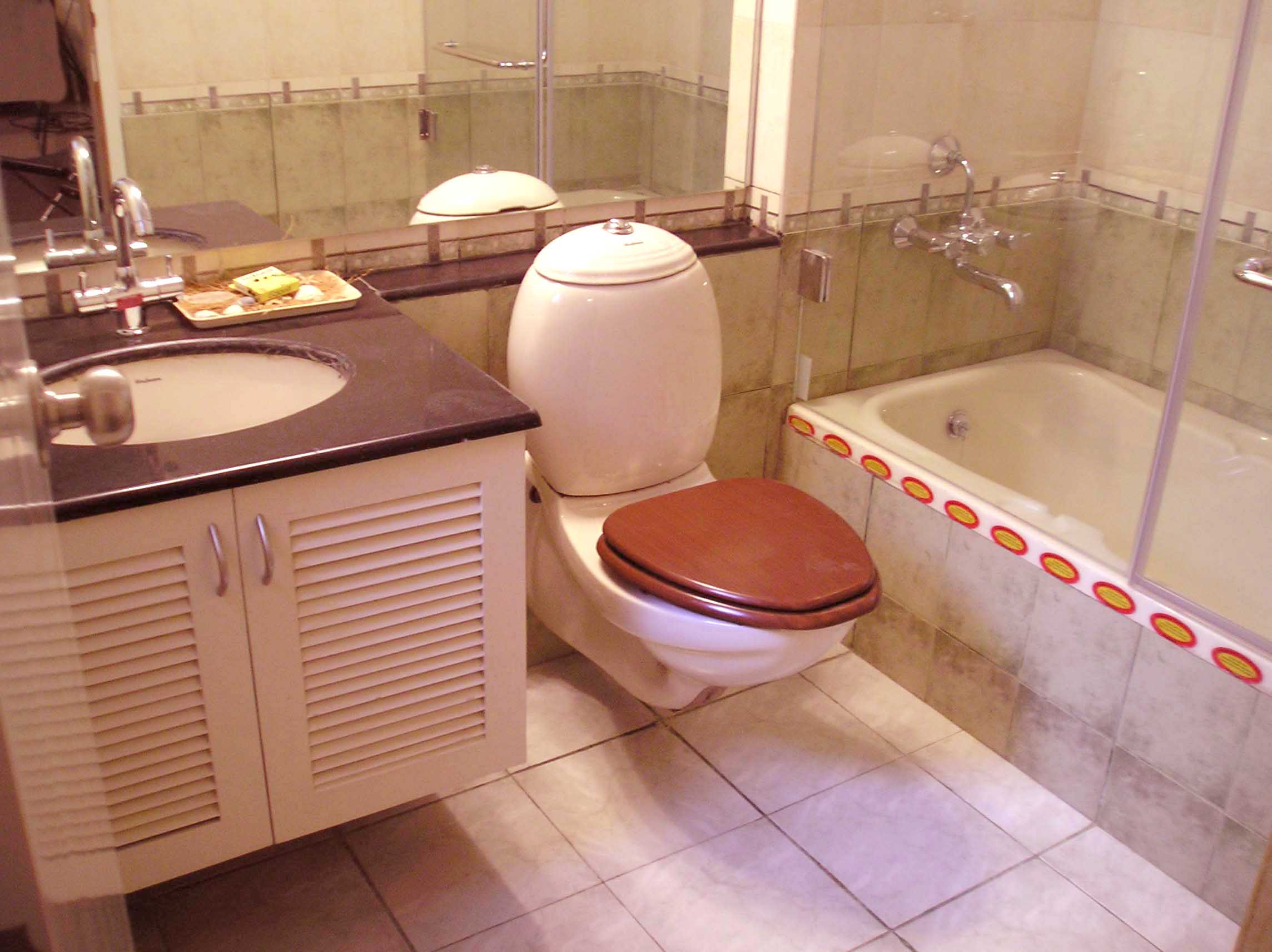 toilet
